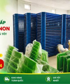 Thiết bị mần non trong nhà